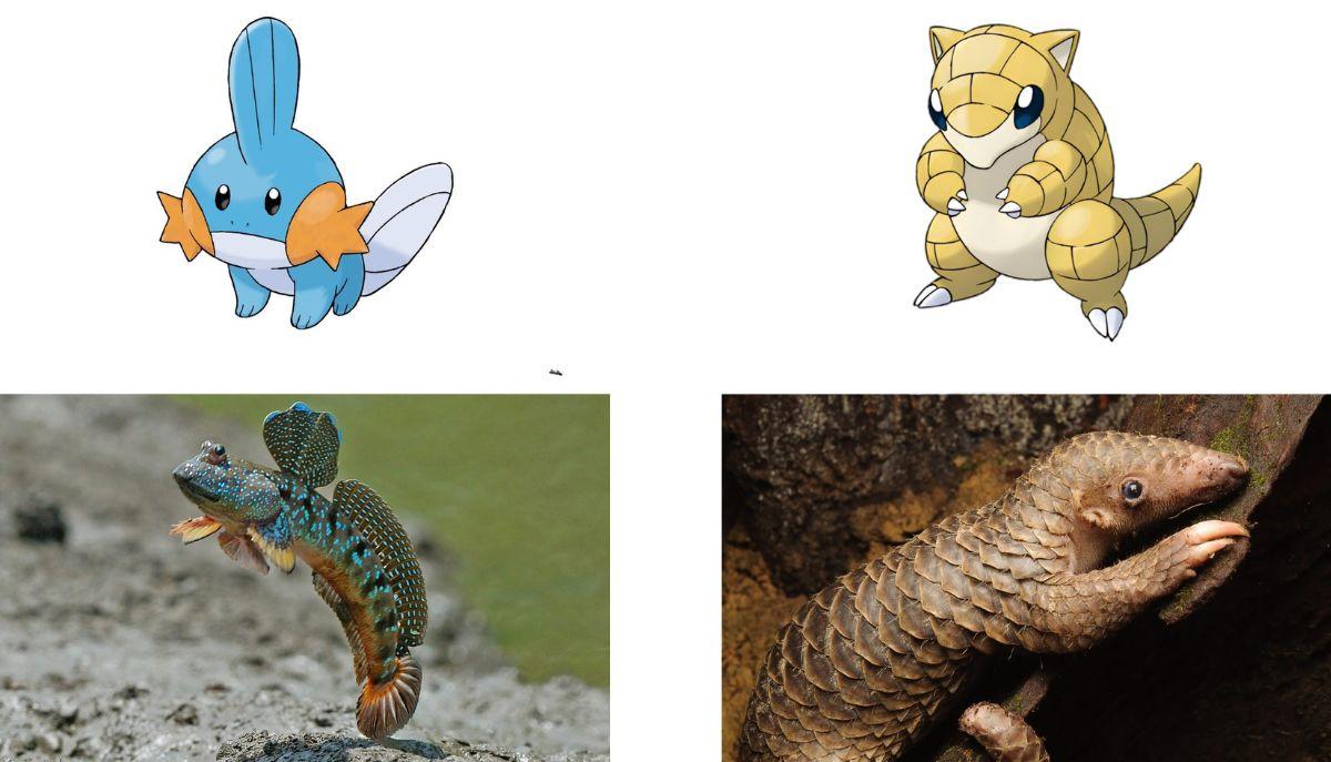 Animali che hanno ispirato i Pok&eacute;mon: la realt&agrave; dietro la fantasia articolo