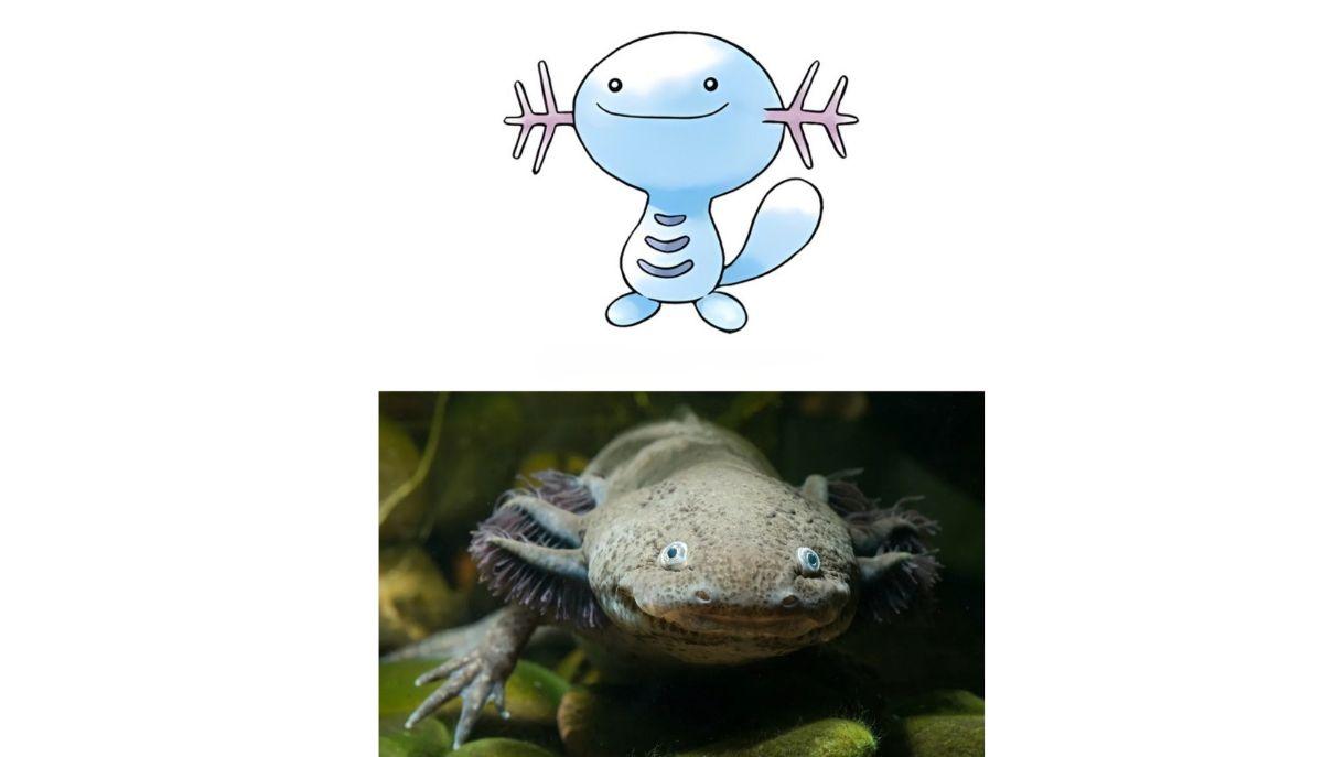 Animali che hanno ispirato i Pok&eacute;mon: la realt&agrave; dietro la fantasia articolo