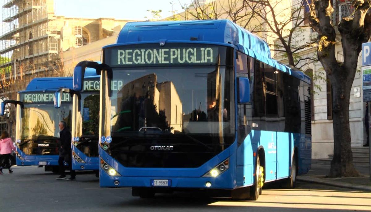 bus amet
