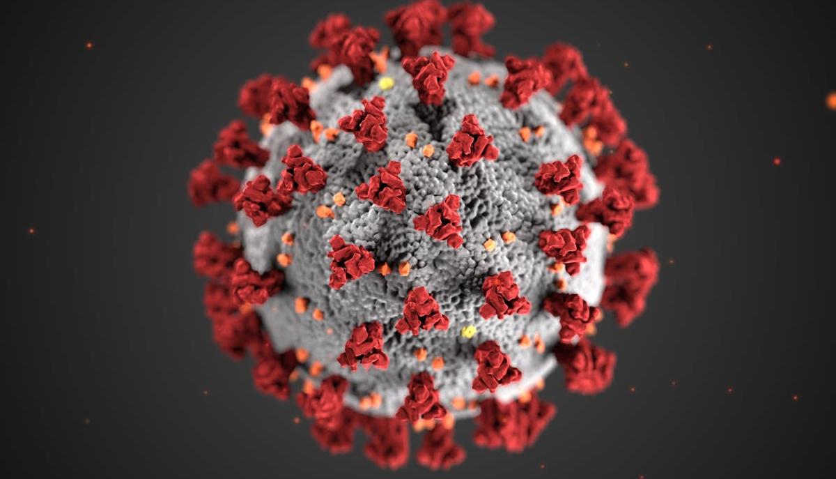 Quanto è serio questo Hantavirus e quanto dobbiamo preoccuparci?