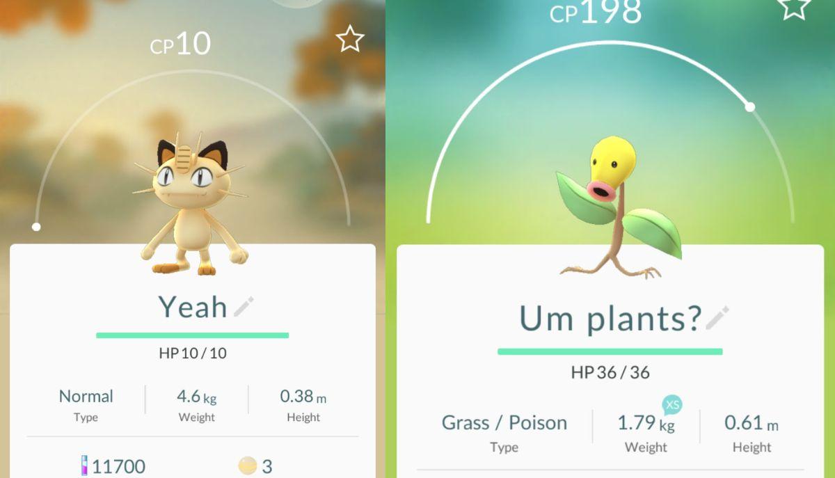 Papà fa rinominare i Pokémon catturati al figlio 2enne: il risultato è esilarante
