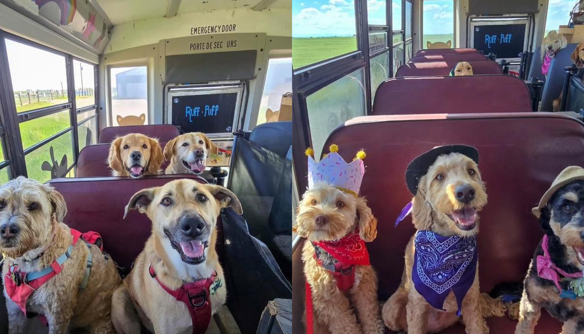 cani a scuola in canada