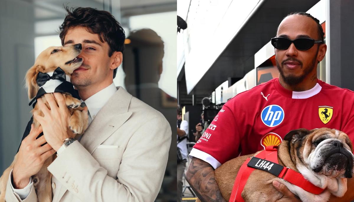 I migliori amici dei piloti di Formula 1: da Roscoe a Leo, tutti i cani dei campioni