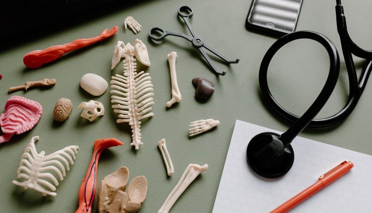 Strumenti per studiare Medicina