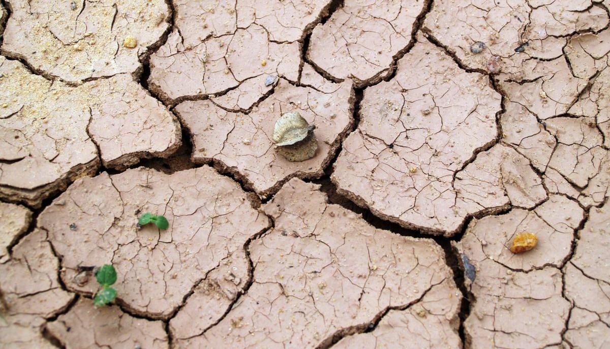 Il pianeta è in pericolo: l'allarme Onu sul super El Niño che stravolgerà il clima