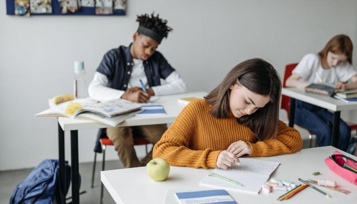 Le province col maggior numero di studenti stranieri non nati in Italia