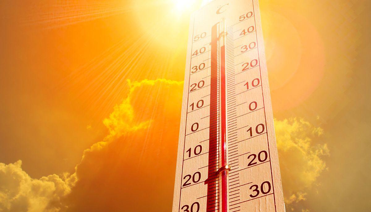 La scuola fa i conti con il caldo estremo ma è impreparata: i nuovi dati Cittadinanzattiva