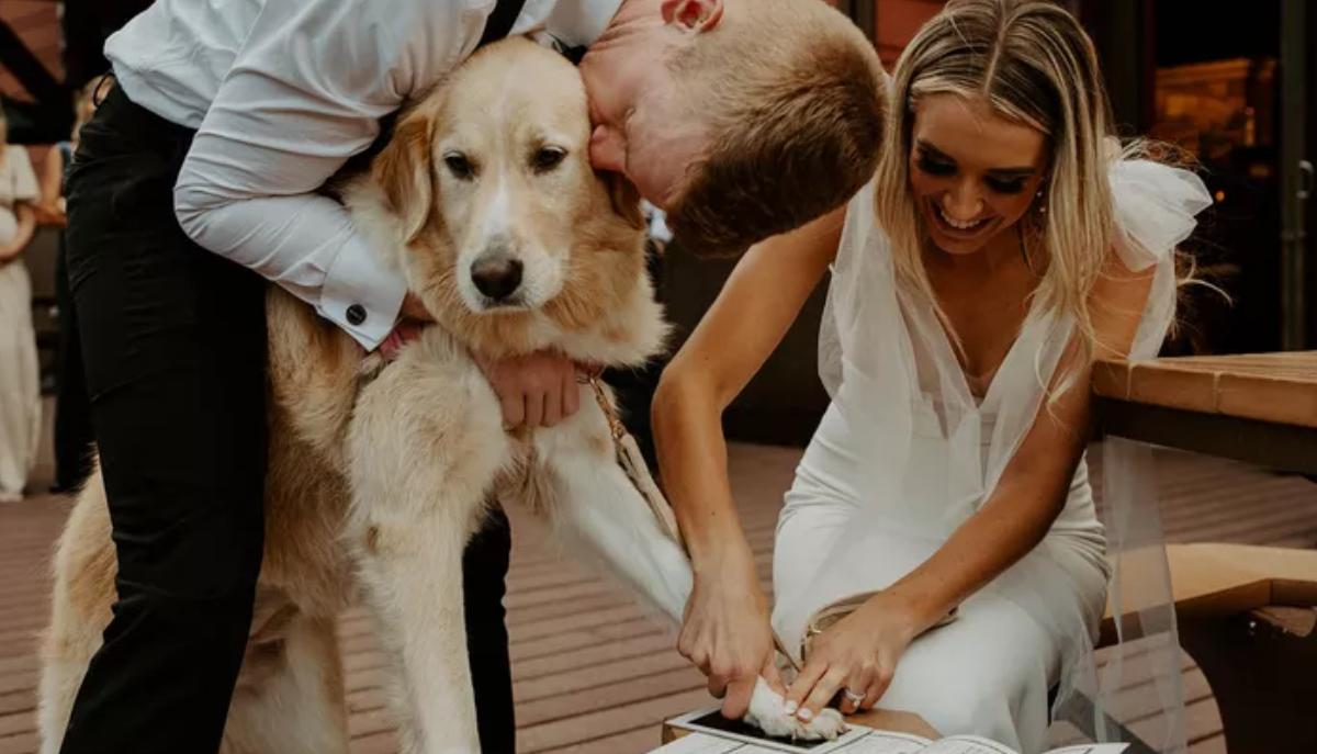 Il tuo cane può essere testimone al matrimonio? Negli USA si può