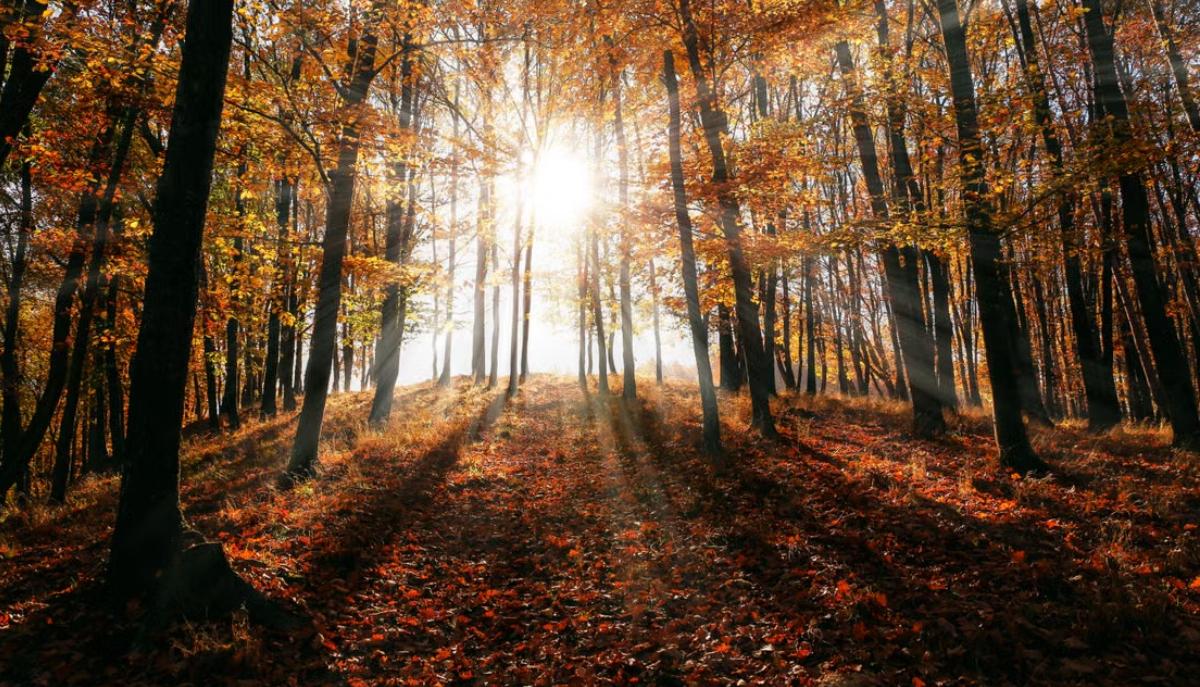 L'estate sta finendo: ecco quando arriva l'equinozio d'autunno
