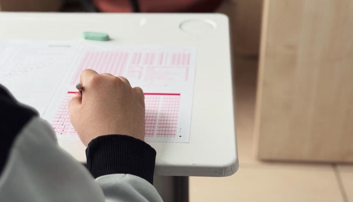 Education at a Glance 2026, meno Neet e più diplomati: l'Italia migliora, ma investe ancora poco