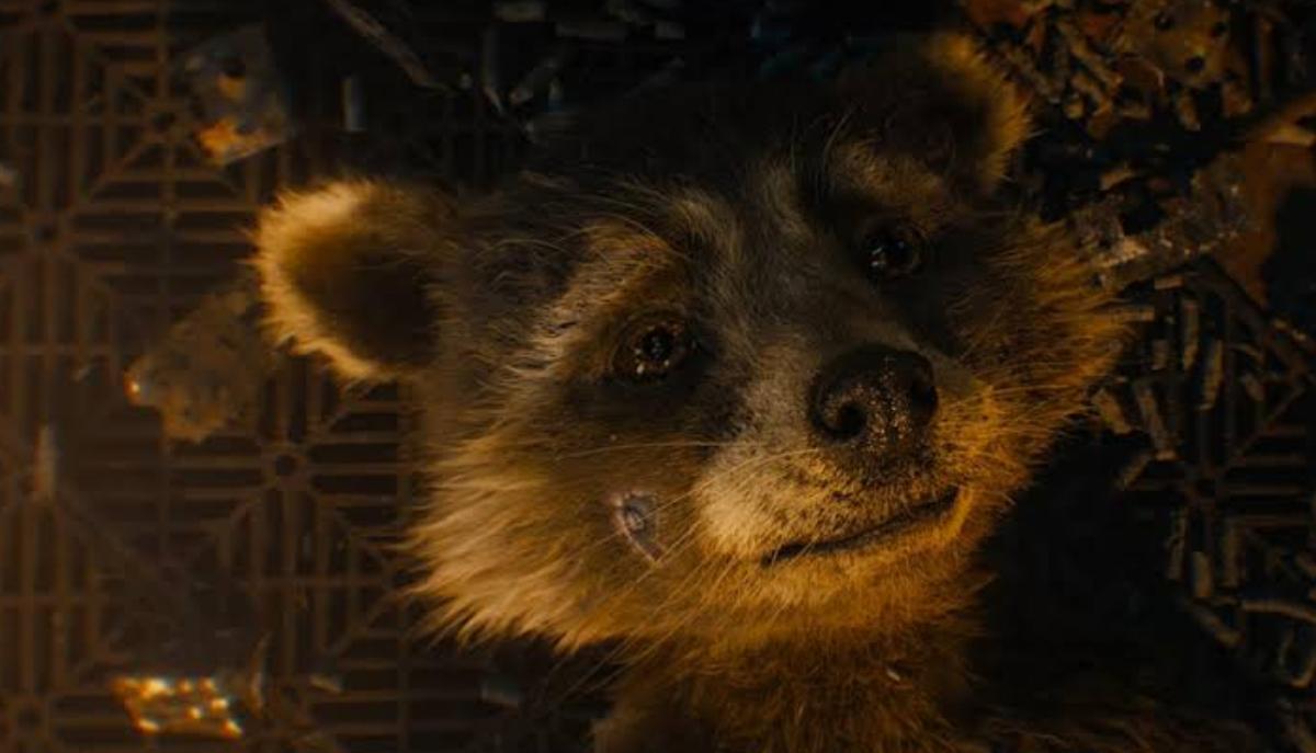 rocket racoon i guardiani della galassia