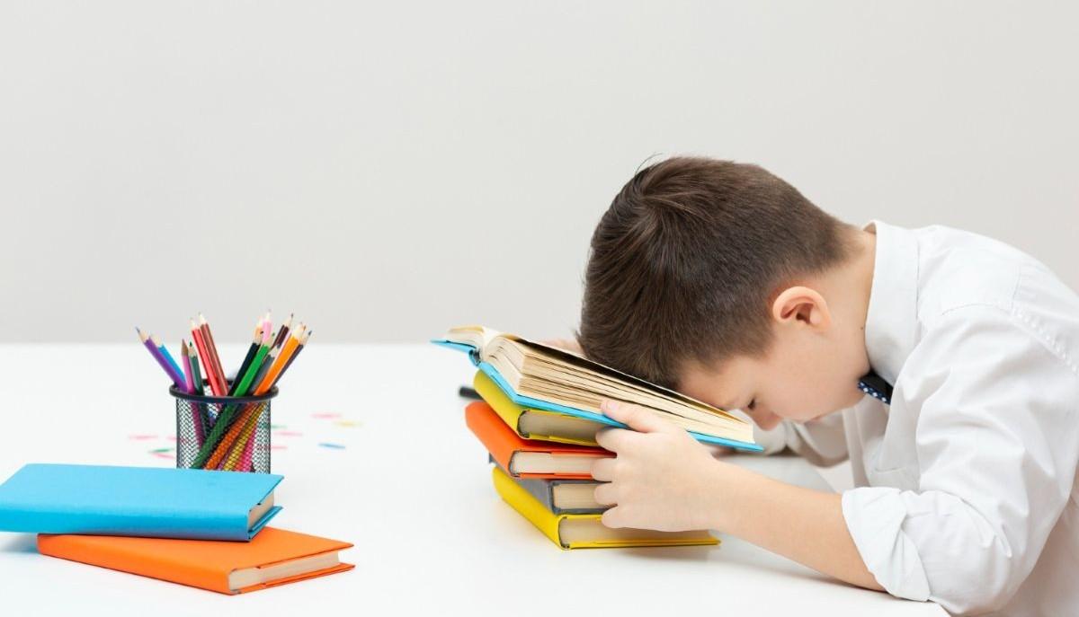 "La scuola fa di tutto per farsi odiare": lo sfogo di una madre contro l'eccesso di compiti a casa
