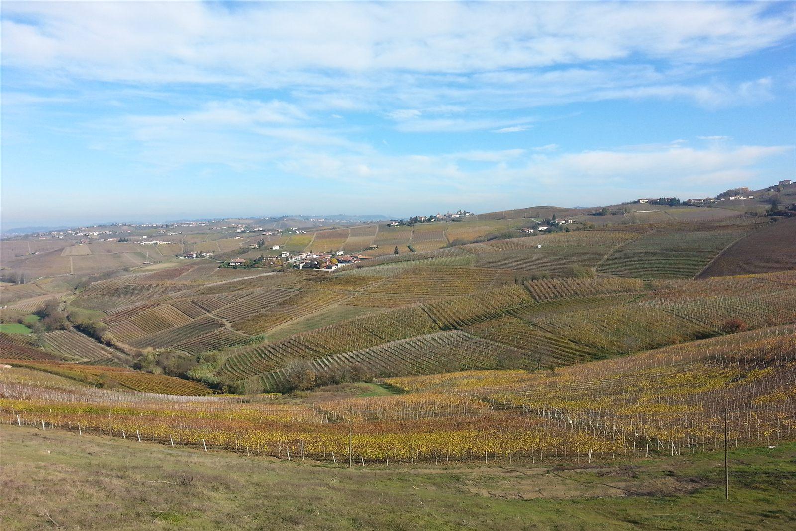Colline del Monferrato ad Acqui Terme in Piemonte
