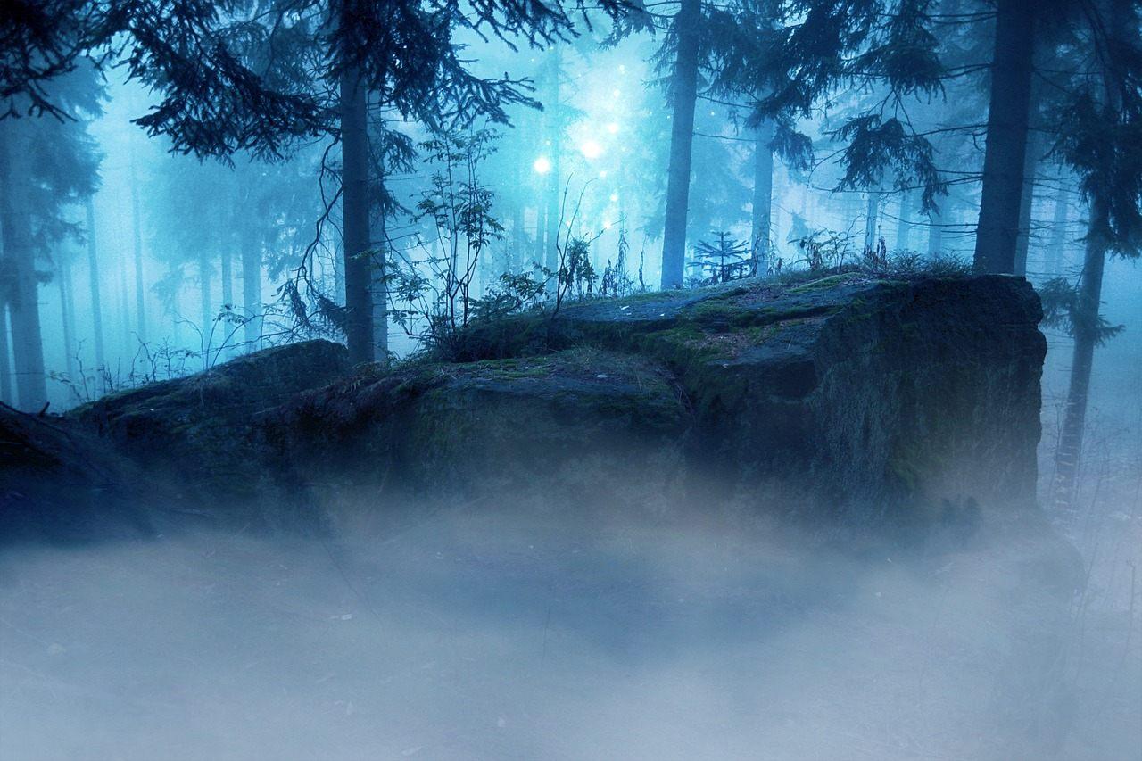 Foresta notturna avvolta nella nebbia, atmosfera onirica del Surrealismo