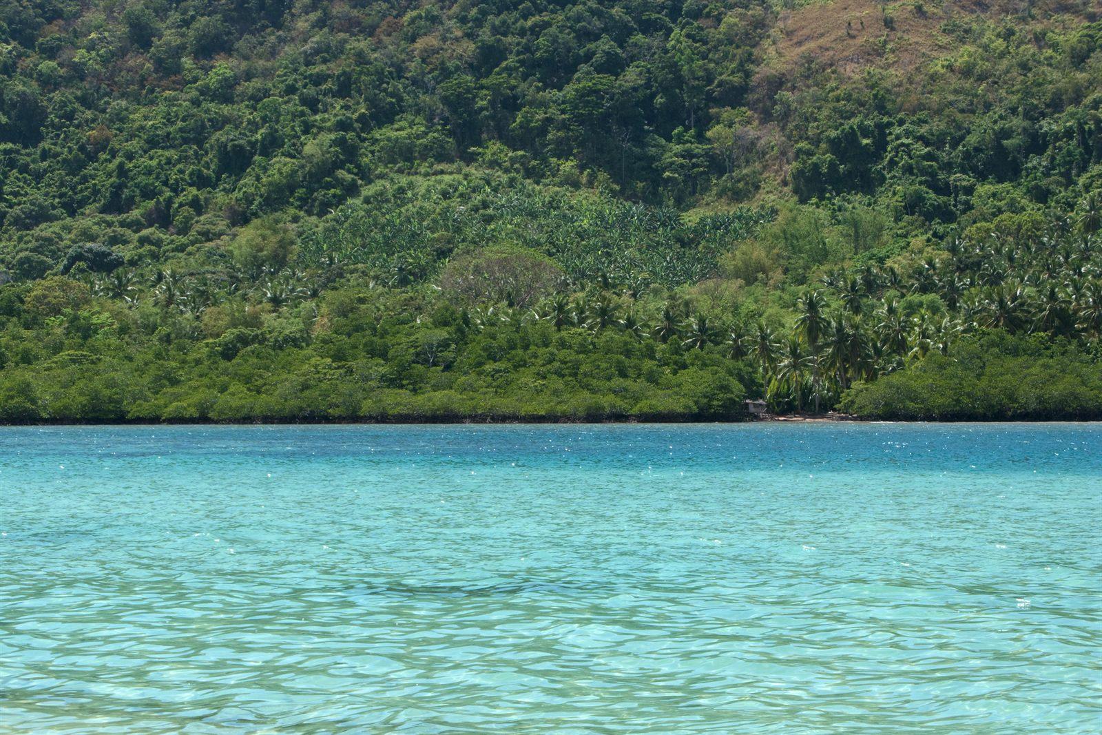 Deserted tropical island in El Nido, Palawan, recalling Lord of the Flies by William Golding