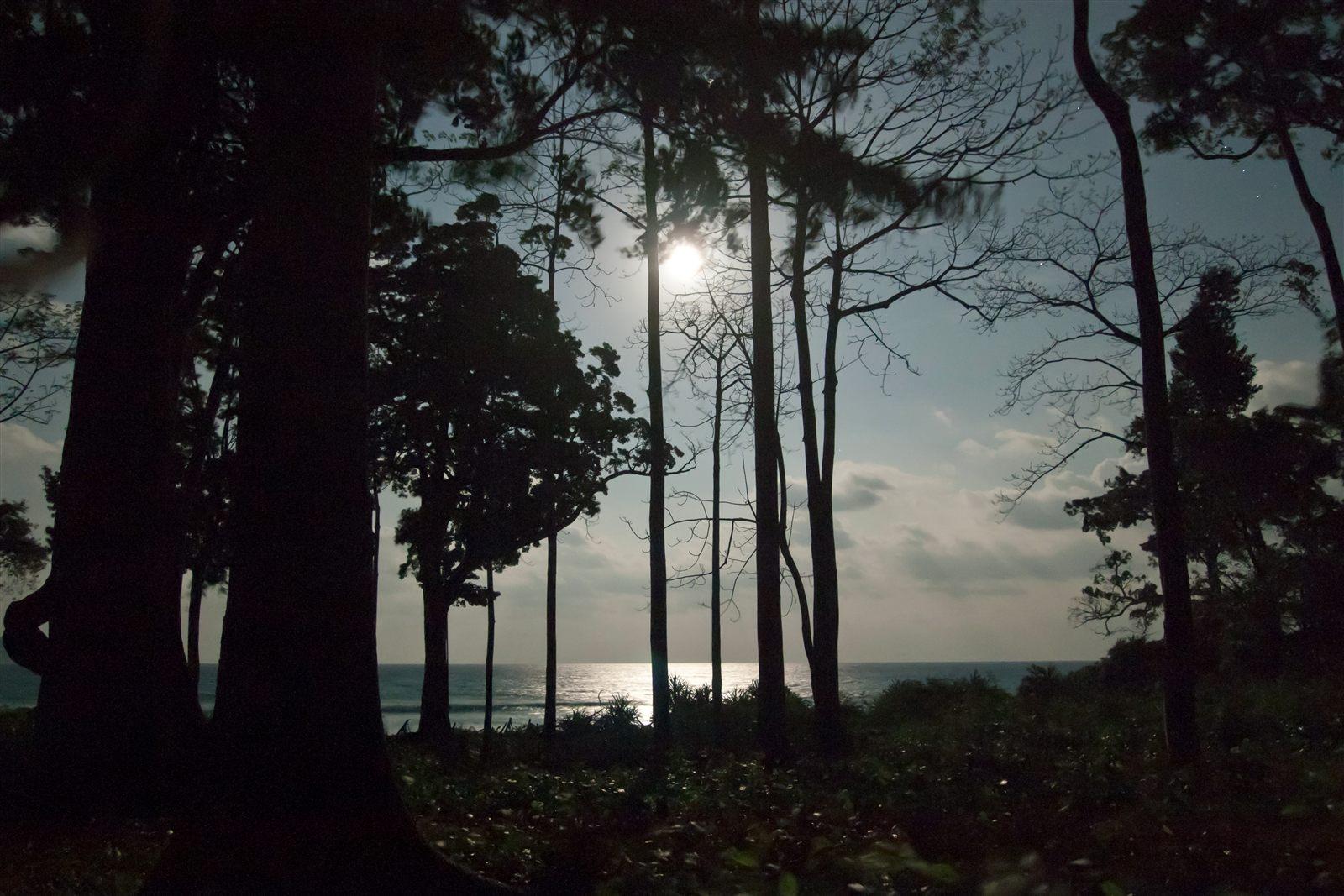 Luna piena sul mare di notte, richiamo alla novella Ciaula scopre la luna di Pirandello