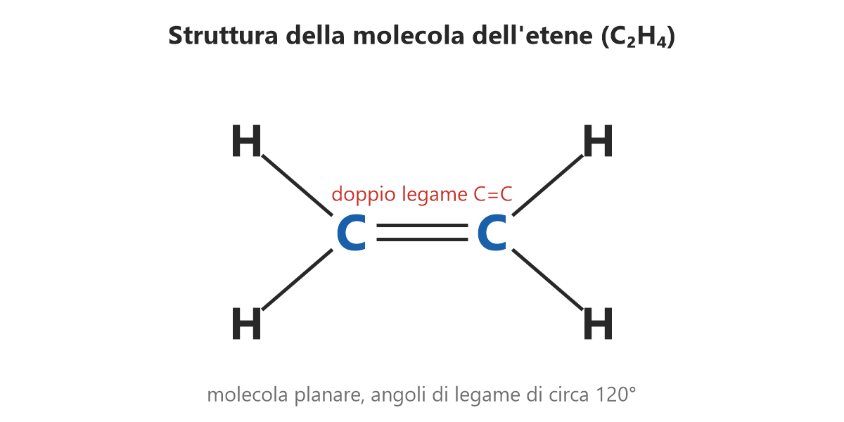Struttura della molecola dell'etene C2H4 con il doppio legame tra i due atomi di carbonio