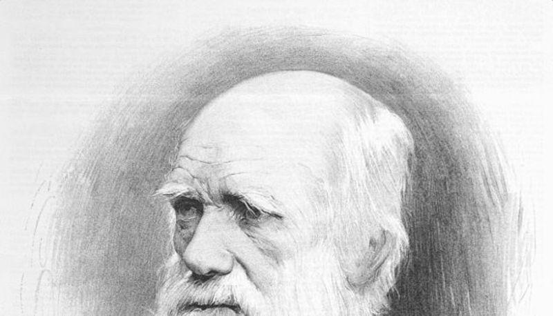 Teoria dell'evoluzione, ecosistemi e biomi articolo