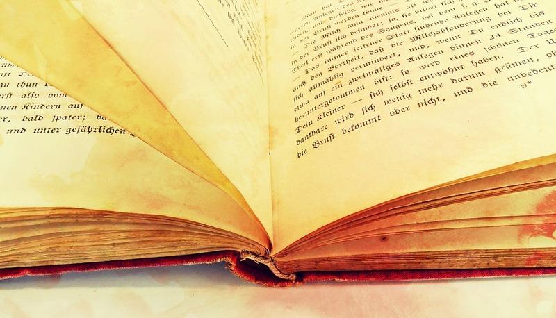 Analisi della novella 'La Lupa' di Giovanni Verga e i suoi elementi articolo