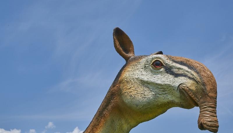 Evoluzione della preistoria: dall'arte paleolitica alle scoperte moderne articolo