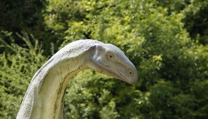 Evoluzione umana e rivoluzioni culturali: dal paleolitico ai metalli articolo
