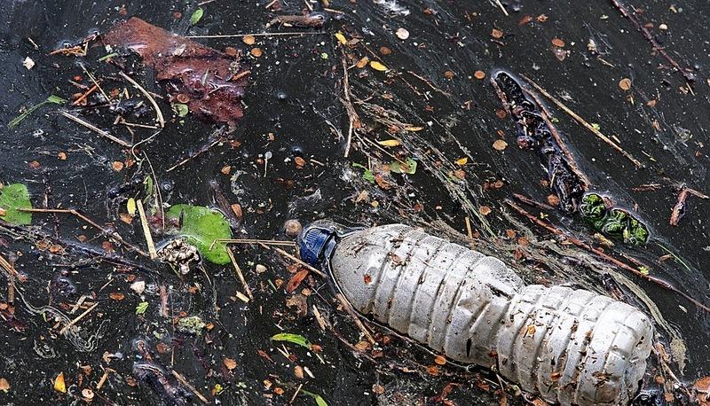 Cannucce di metallo stanno diventando popolari oggi per aiutare a  compensare l'inquinamento che è causato da cannucce di plastica,  particolarmente negli oceani del mondo Foto stock - Alamy