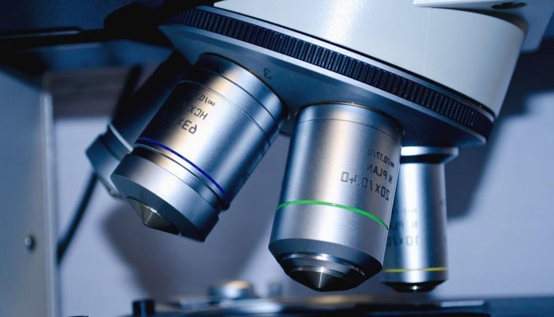 Reazioni e alcune leggi fondamentali articolo