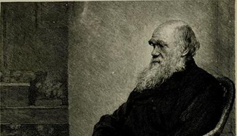 charles darwin vita opere e teorie sulla selezione naturale