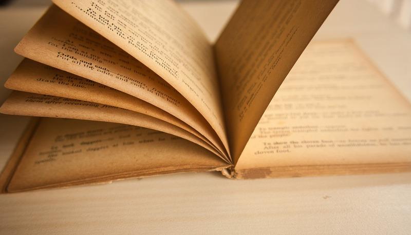 Suffisso -logo, -logia articolo