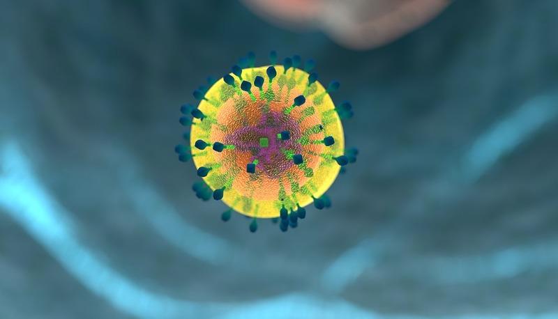 Il ciclo cellulare: fasi, controllo e divisione mitotica articolo