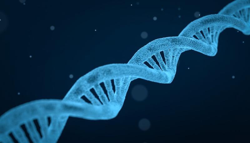 La riproduzione: cosa è e come avviene articolo
