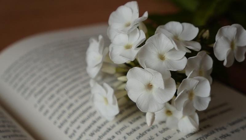 Evoluzione della poesia: dal Neoclassicismo al Simbolismo e oltre articolo