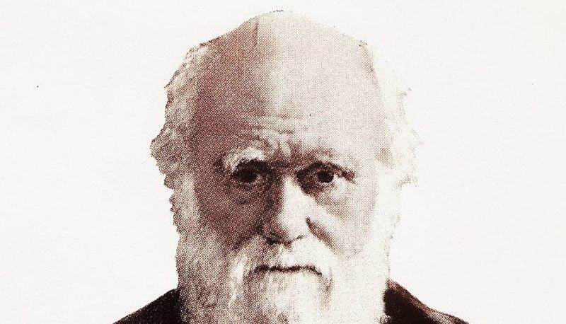 Darwin, Charles (4694) articolo