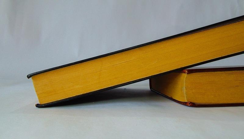 L'autocoscienza e le primalità nel pensiero di Tommaso Campanella articolo