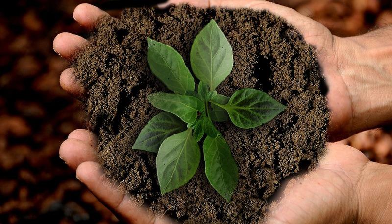 Aree Protette, Ecoregioni e Sviluppo Sostenibile articolo