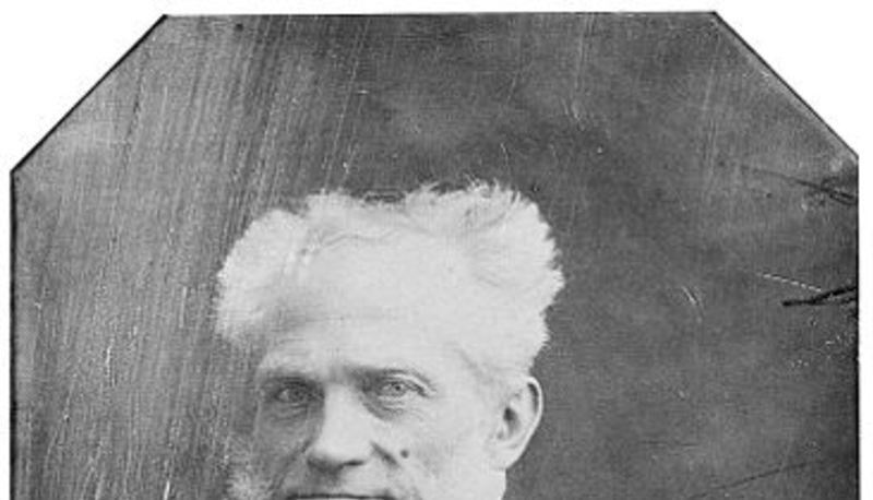 Schopenhauer e la musica: l'arte come espressione della volontà universale articolo