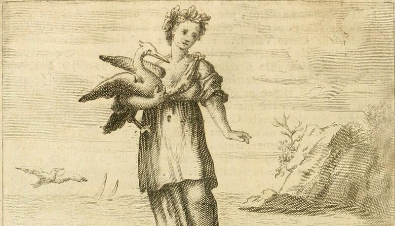 Catullo, Gaio Valerio articolo