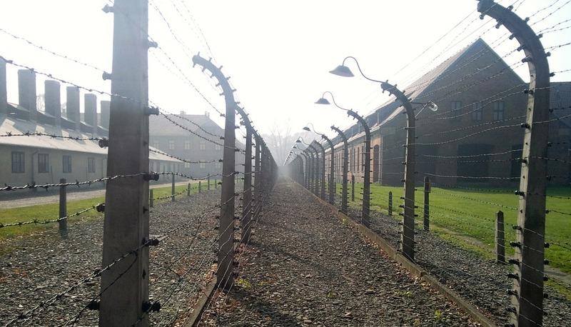 Terrore nazista: i campi di concentramento articolo