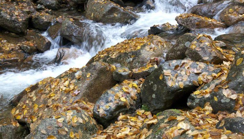 Suolo e degradazione delle rocce articolo
