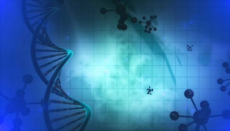 Il DNA: struttura, duplicazione e sintesi proteica spiegata articolo