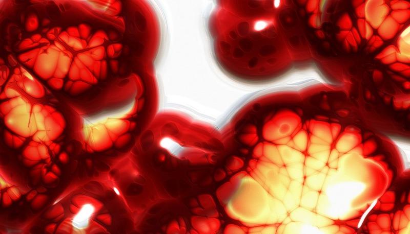 Struttura e funzioni delle proteine nella membrana cellulare articolo
