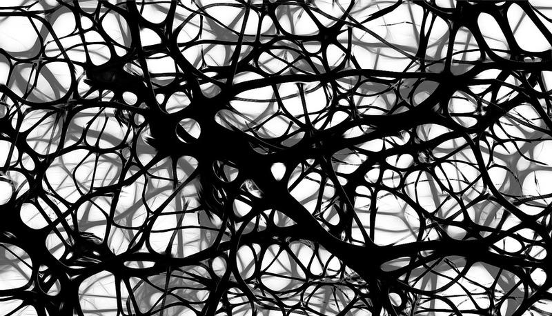 Proteine di membrana: interazioni cellulari articolo