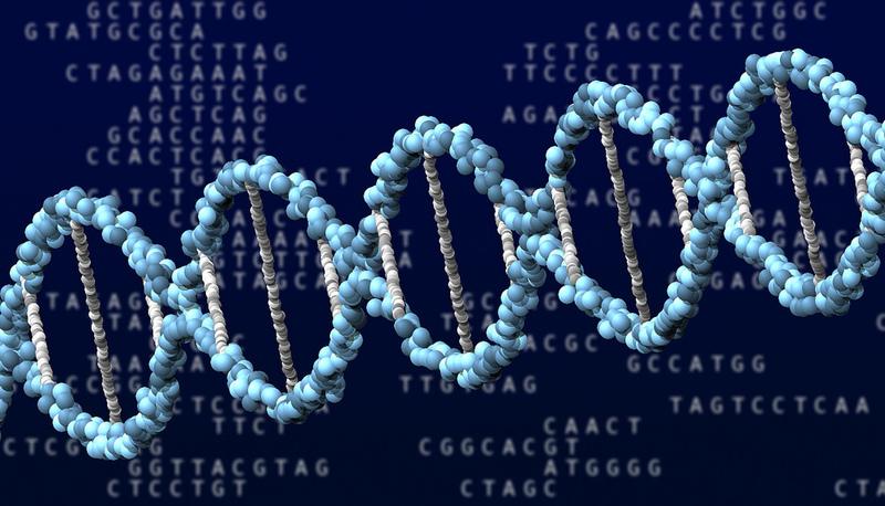 Scoperte sui gruppi sanguigni e malattie genetiche ereditarie articolo