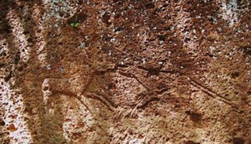 Le origini, l'espansione e il declino della civiltà etrusca in Italia articolo