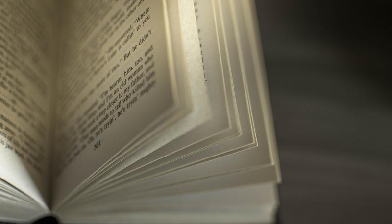 Senocrate: vita, filosofia e dottrina delle idee-numeri articolo