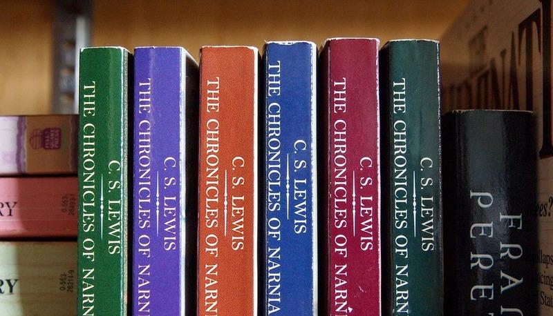 Evoluzione del romanzo: dal Medioevo al Verismo italiano articolo