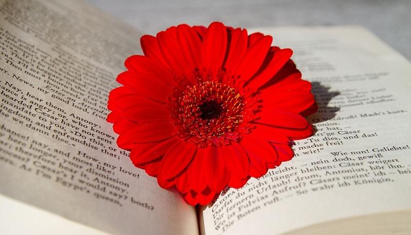 La dualità dell'anima tra luce e ombra nella poesia di Boito articolo
