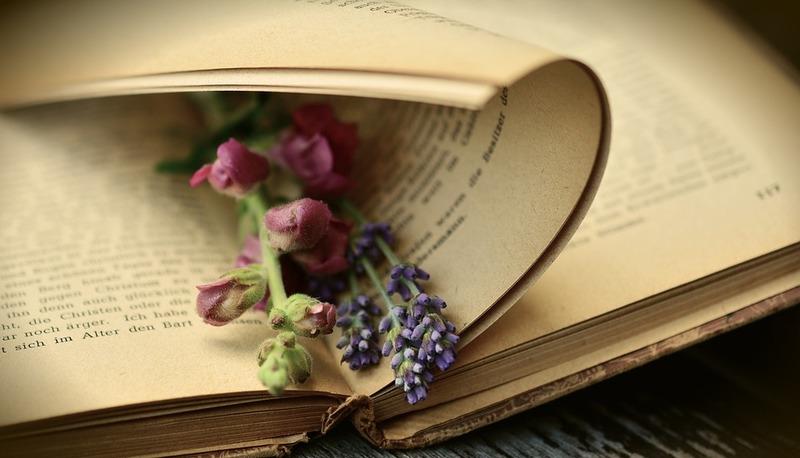 Il Dolce stil novo: innovazione poetica e concezione dell'amore articolo