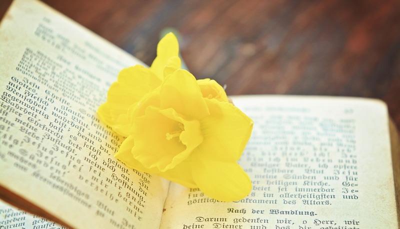 Analisi e Commento della Poesia 'A Silvia' di Giacomo Leopardi articolo