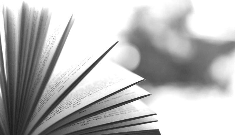 Il Ciclo dei Vinti di Verga: un viaggio nel Verismo incompiuto articolo